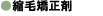 kы܂̐ł